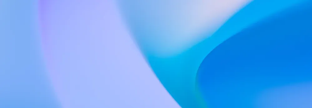 Wallarm Node 4.6、セキュリティーとユーザーエクスペリエンスを向上させる高度なAPIレート制限を公開