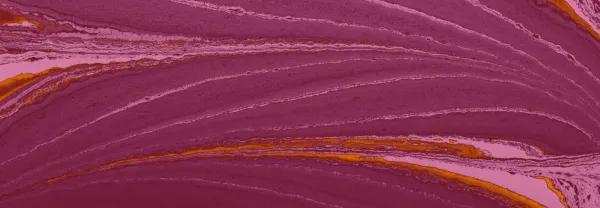 OptimizelyがOpticon Onlineでデジタルエクスペリエンスに関する洞察を発表