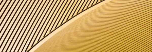 Singular、CensusとのData Warehouse同期を導入