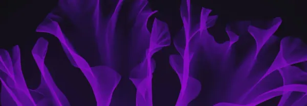 JFrogウェビナーでCoder統合による安全なクラウド開発を探求