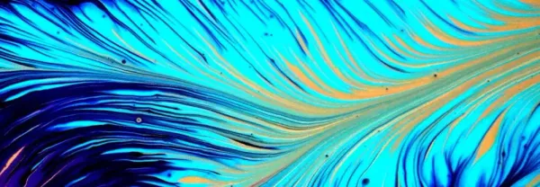 Adobe Summit 2024: Las Vegasとオンラインでイノベーションを起こす