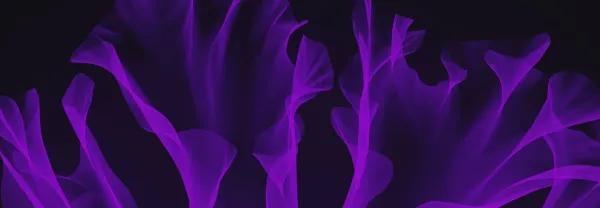 AWSとSumo LogicがCloud SIEMと脅威の検出に関する実践的なワークショップにご招待します