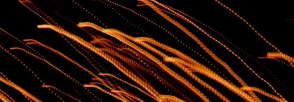 Adobe(アドビ)の調査で、生成AIがマーケティング効率と予算最適化に多大な影響を与えることが明らかに