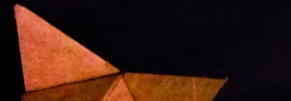 NinjaOneが2024年のDeloitte Technology Fast 500に選出